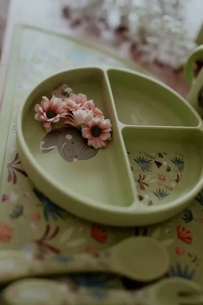 talerzyk-sassi-zielony-silikon