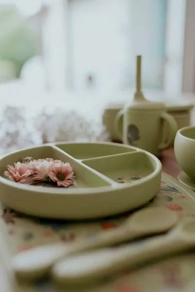 talerzyk-sassi-zielony-silikon-material-wykonania-silikon