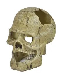 ozdoba-akwariowa-happet-u715-czaszka-13-cm