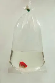 worki-na-ryby-happet-c021-18-x-40-cm-100-szt