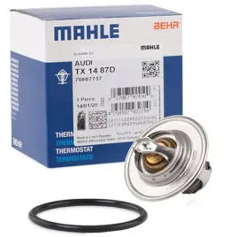 termostat-borsehung-audi-a3-vw-golf-passat-skoda-superb