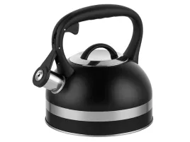 czajnik-tradycyjny-stalowy-florina-18-l-czarny
