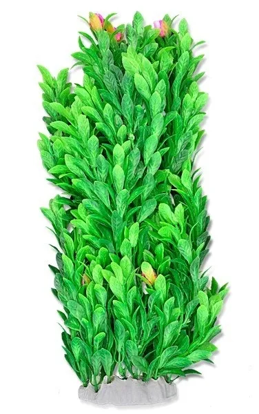 roslina-folia-40cm-4f34-happet