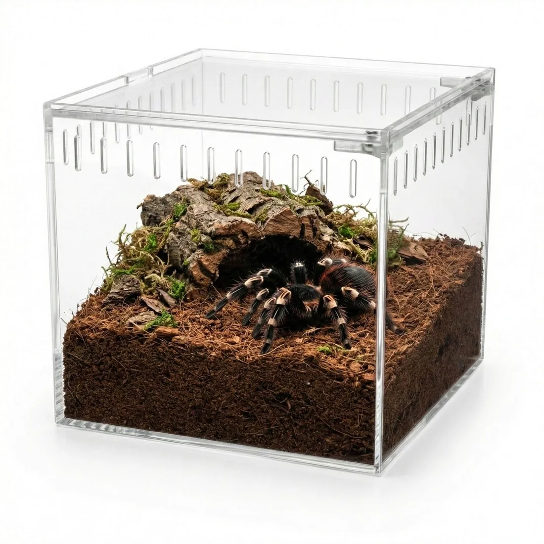 terrarium-happet-17-l