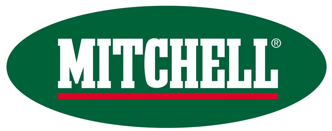 kolowrotek-mitchell-reel-298