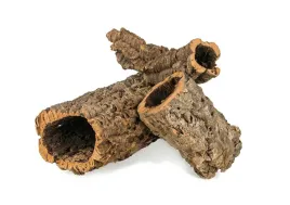 korzen-do-terrarium-korek-galaz