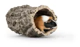 ozdoba-do-terrarium-naturalna-tuba-korkowa-80-cm-kod-producenta-ck84