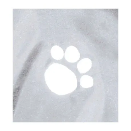 plaszczyk-przeciwdeszczowy-pelerynka-kurtka-dla-psa-odblask-trixie-s-38cm-rozmiar-s