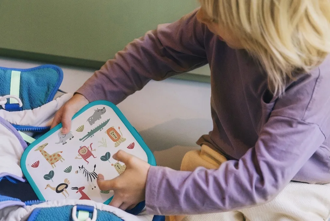 lunch-box-mepal-1650-ml