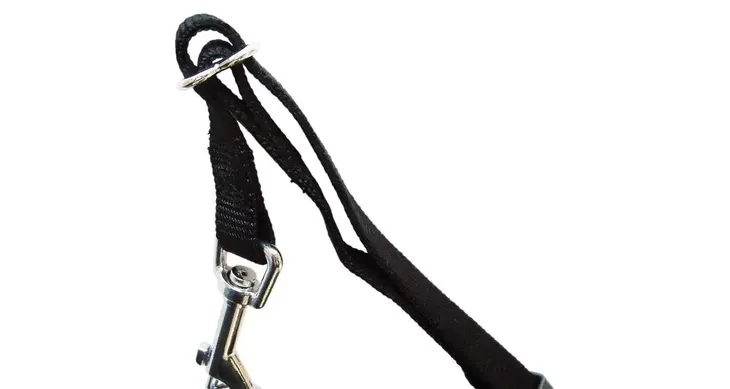 szelki-samochodowe-smycz-pas-dla-malego-psa-regulacja-rixie-xs-20-50cm-15mm-rozmiar-xs