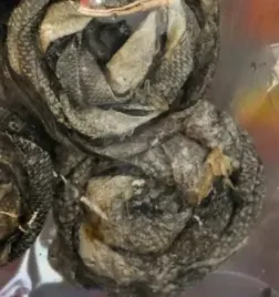 petmex-ciastka-ze-skory-dorsza-200g