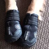 buty-trixie-czarny-xs
