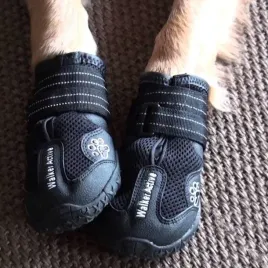 buty-trixie-czarny-xs