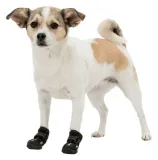 buty-ochronne-na-lapy-lapki-psa-na-zime-lato-trixie-walker-active-xs-2szt-rodzaj-buty