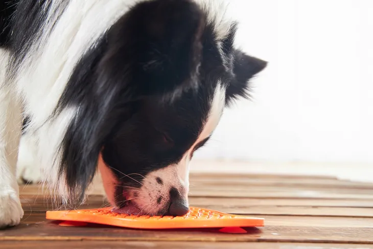 pdh-lick-pad-orange-easy-nowa-rodzaj-maty