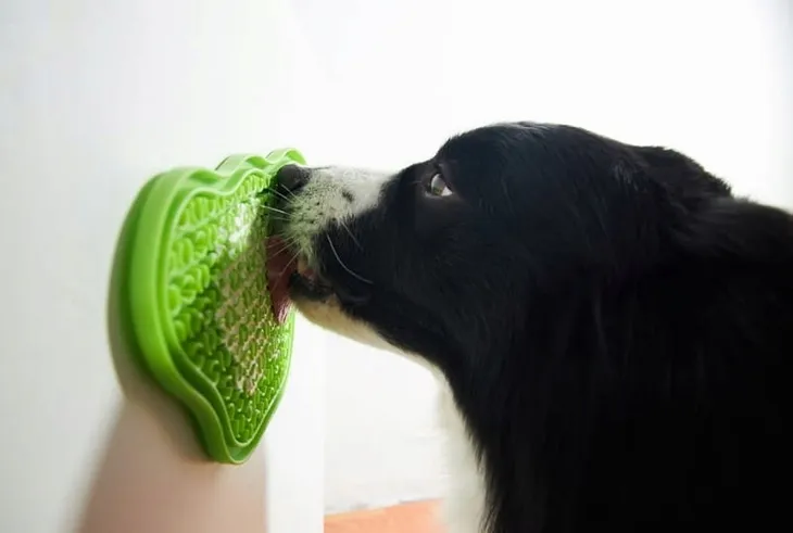 pdh-lick-pad-orange-easy-nowa-rodzaj-maty-kod-producenta-0517