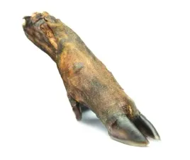 przysmak-dla-psa-petmex-noga-dzika