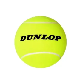 pilka-do-tenisa-ziemnego-dunlop-atp-championship