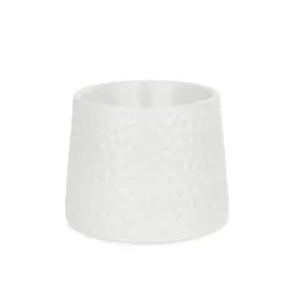 barry-king-miska-ceramiczna-dla-kota-podwyzszona-11-cm-biala