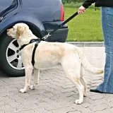 szelki-samochodowe-dla-psa-regulowane-smycz-pas-bezpiecz-trixie-m-50-70cm-marka-trixie