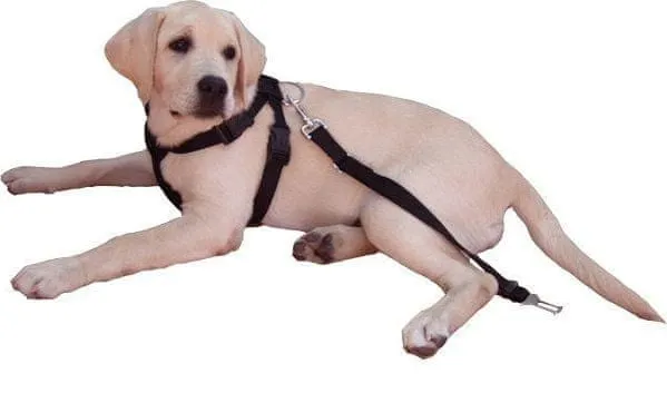 szelki-samochodowe-dla-psa-regulowane-smycz-pas-bezpiecz-trixie-m-50-70cm-kolor-czarny