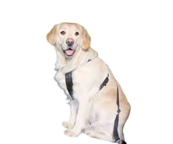 szelki-samochodowe-dla-psa-regulowane-smycz-pas-bezpiecz-trixie-m-50-70cm-wielkosc-psa-sredni-pies