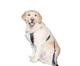 szelki-samochodowe-dla-psa-regulowane-smycz-pas-bezpiecz-trixie-m-50-70cm-wielkosc-psa-sredni-pies