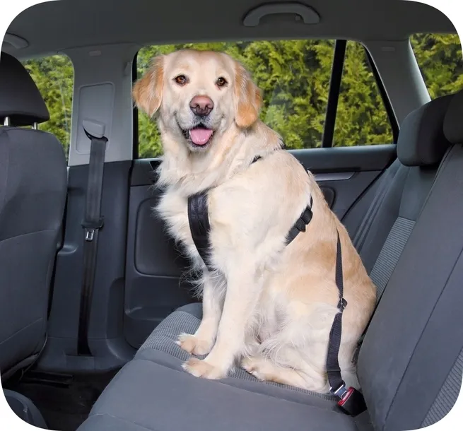 szelki-samochodowe-dla-psa-regulowane-smycz-pas-bezpiecz-trixie-m-50-70cm-kod-producenta-1291