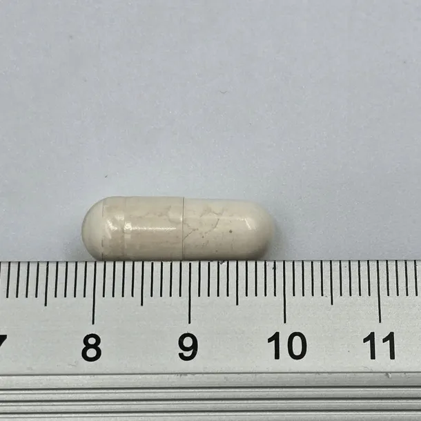 game-dog-flora-protect-60-kapsulek-waga-z-opakowaniem-0-2-kg