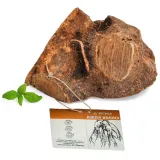 korzen-wrzosca-petmex-r-l