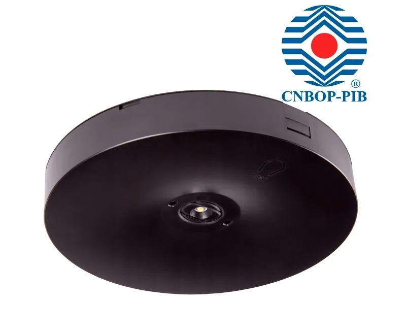 plafon-okragly-intelight-bialy