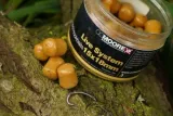 cc-moore-live-system-hokbaits-glugged-15x18mm-przeznaczenie-amury