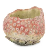 oslonka-cementowa-cyrus-stone