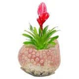 truskawka-oslonka-na-doniczke-doniczka-12x16-cm-betonowa-dekoracja-ozdoby-waga-z-opakowaniem-0-01-kg