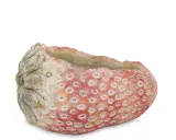 oslonka-cementowa-cyrus-stone