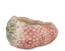 oslonka-cementowa-cyrus-stone