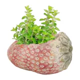truskawka-oslonka-na-doniczke-doniczka-125x21-cm-betonowa-donica-ozdobna-waga-z-opakowaniem-0-01-kg
