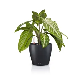 doniczka-lechuza-classico-color-14-samonawadniajaca-szary-lupek