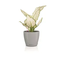 doniczka-tworzywo-sztuczne-bezowy-lechuza-13-cm-x-13-x-12-cm