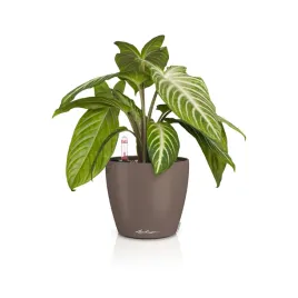 doniczka-tworzywo-sztuczne-bezowy-lechuza-15-cm-x-15-x-14-cm