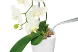 doniczka-mini-deltini-bialy-polysk-szerokosc-produktu-10-cm