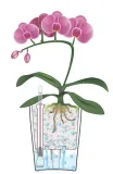 doniczka-mini-deltini-bialy-polysk-srednica-10-cm