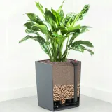 substrat-basic-pon-6l-neutralny-lechuza-pojemnosc-6-l