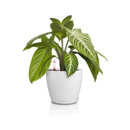 doniczka-lechuza-classico-color-14-samonawadniajaca-bialy