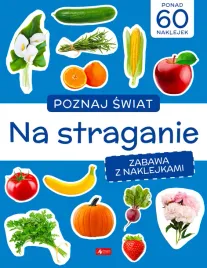 poznaj-swiat-zabawa-z-naklejkami-na-straganie