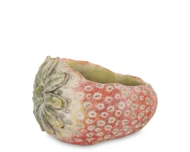 oslonka-cementowa-cyrus-stone