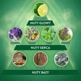 air-wick-dyfuzor-zawiera-baterie-tak