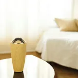 wazon-ceramiczny-do-pokoju-295-cm-flakon-pojemnik-na-kwiaty-dekoracja-wysokosc-produktu-29-5-cm
