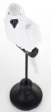 figurka-papuga-waga-z-opakowaniem-0-28-kg