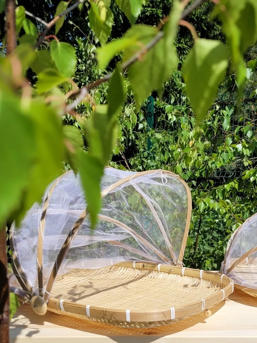 taca-mplco-natural-kolor-bialy